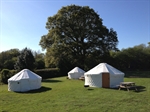 Yurt 1  - click to enlarge